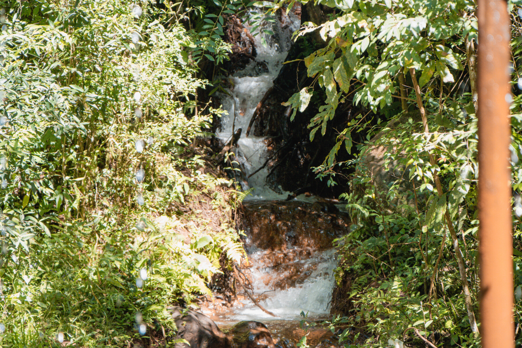 PARQUE MUNICIPAL (10).jpg