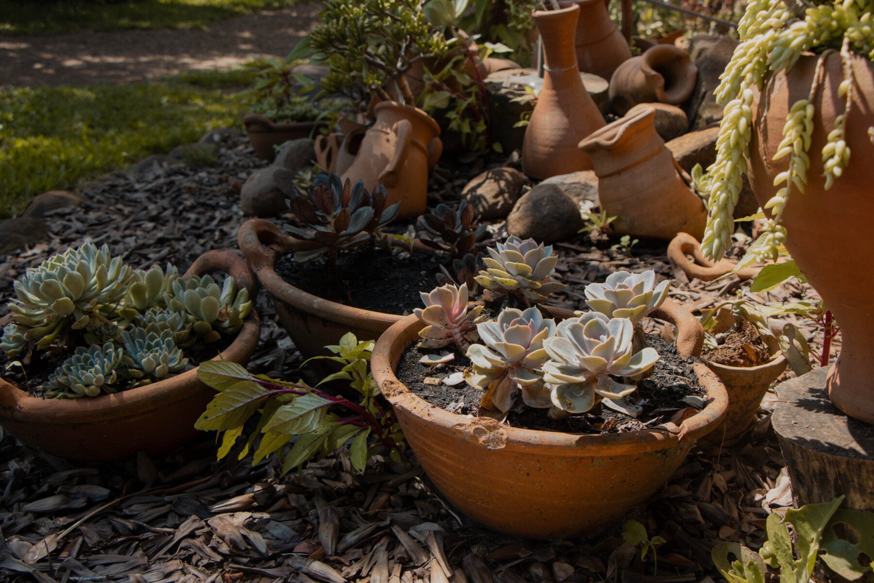 JARDIM 3 (8).jpg