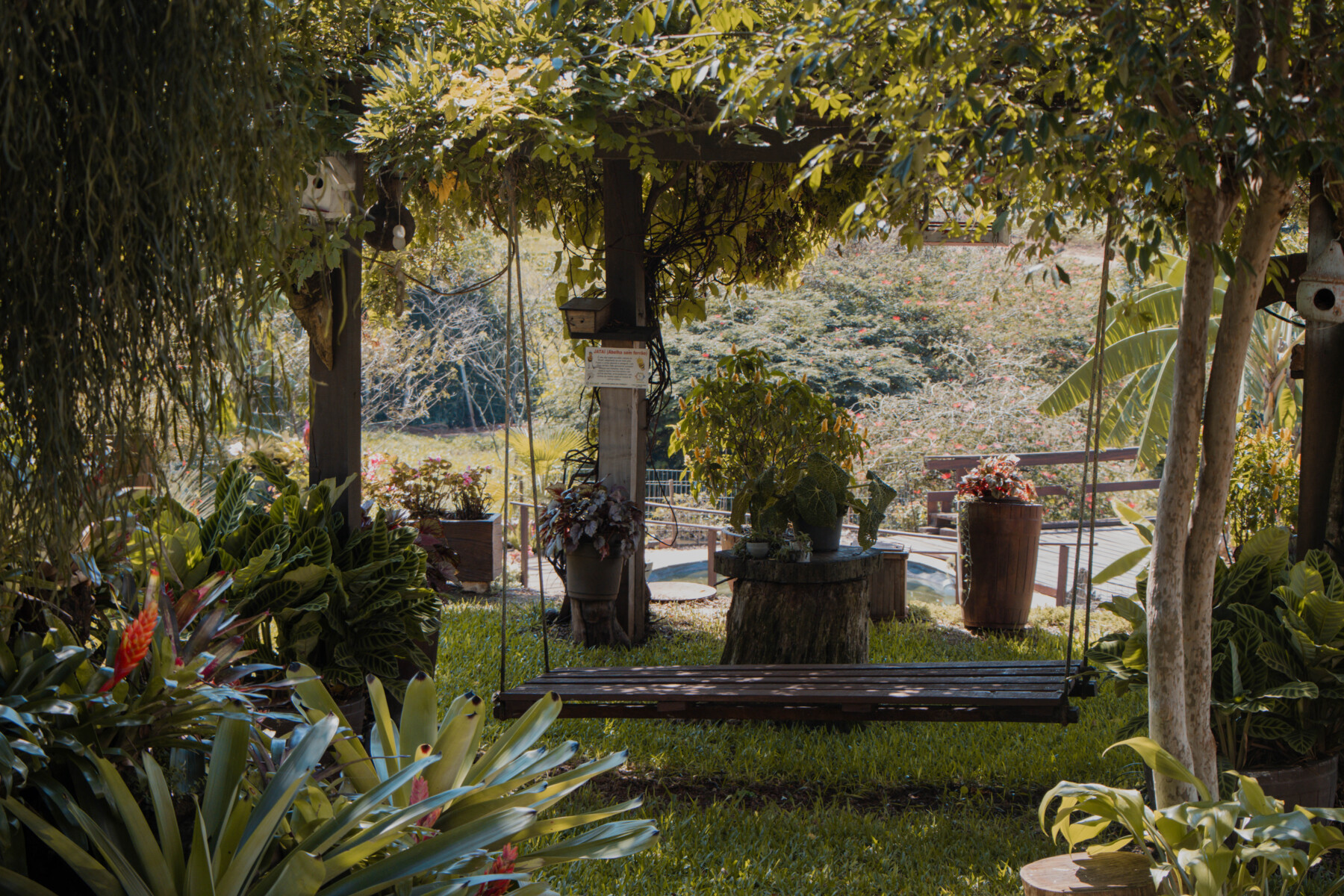 JARDIM 3 (12).jpg