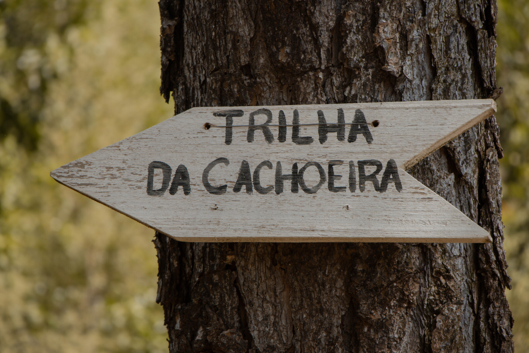 TRILHA (1).jpg