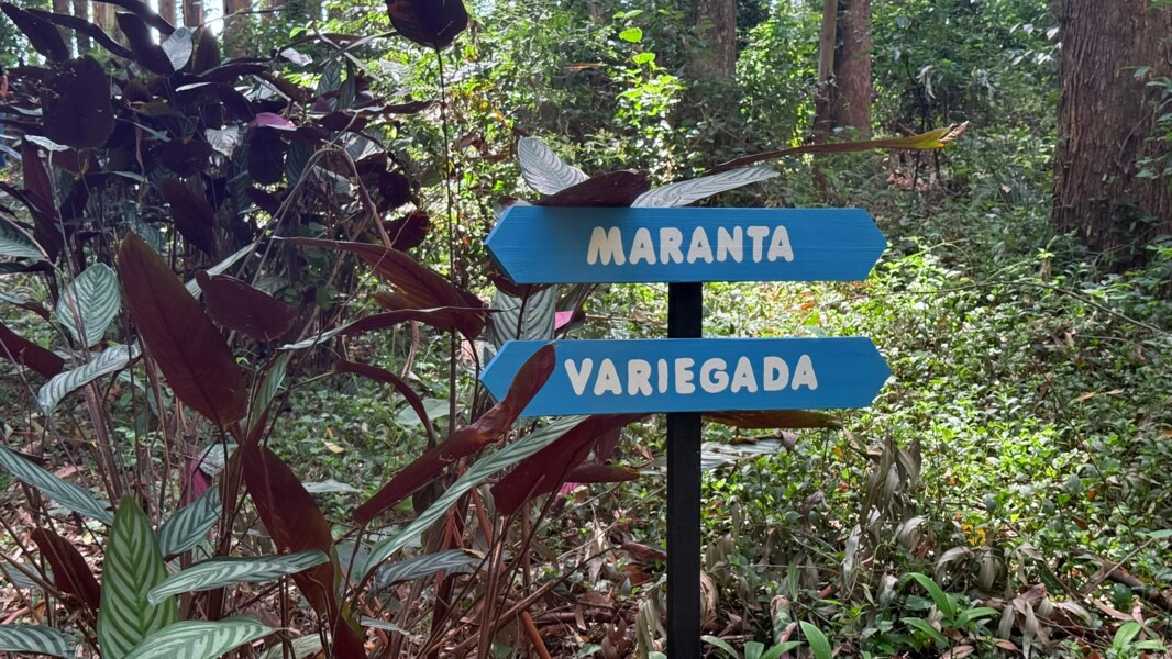 Natureza Exuberante