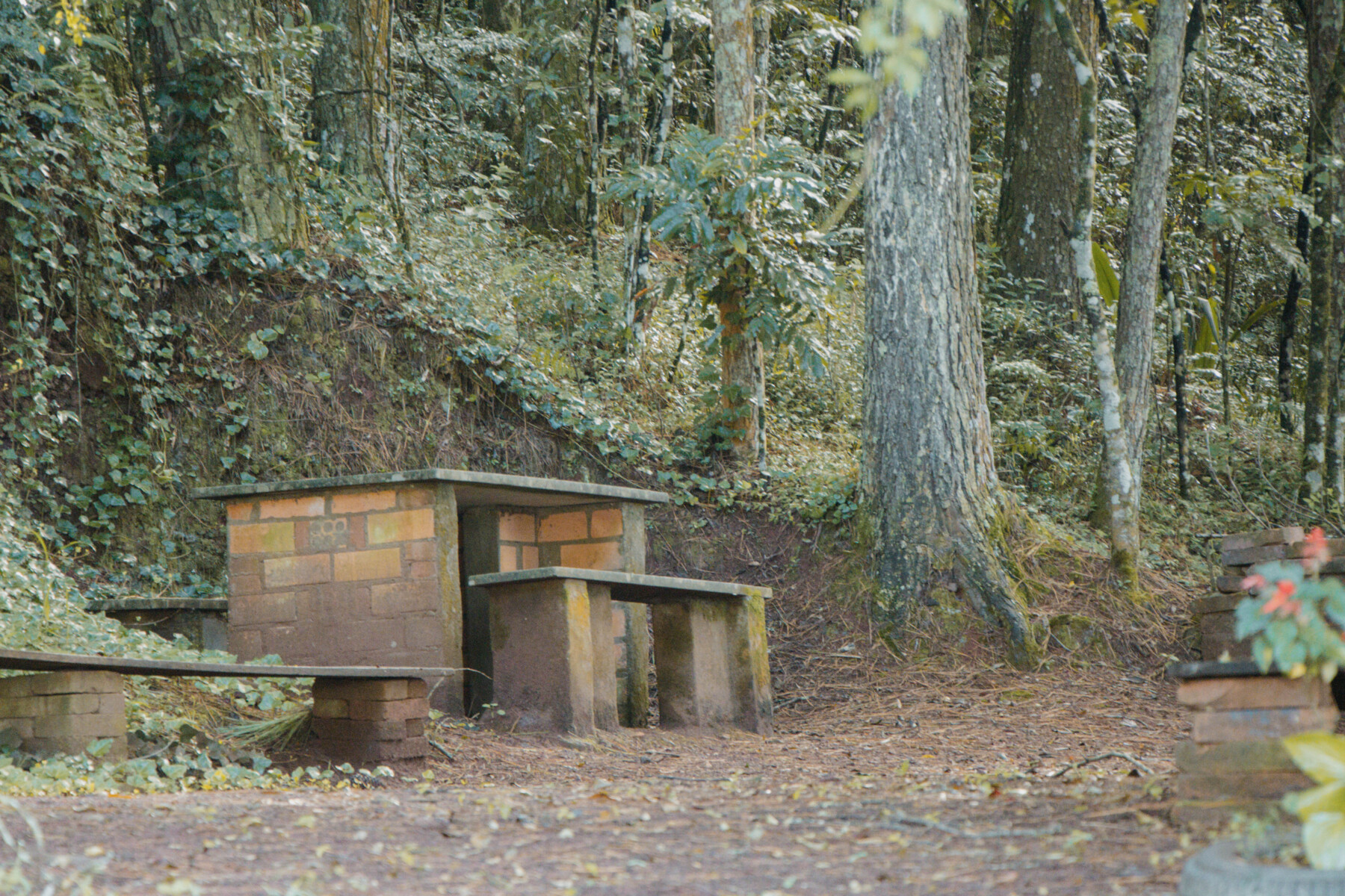 GRUTA ROMARIA (11).jpg