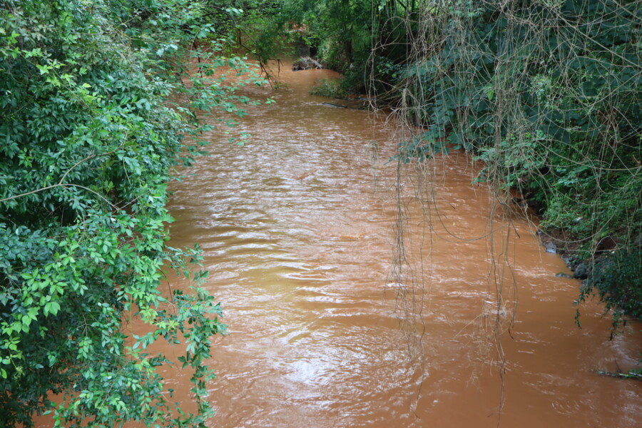 arroio-pulador-puxirete