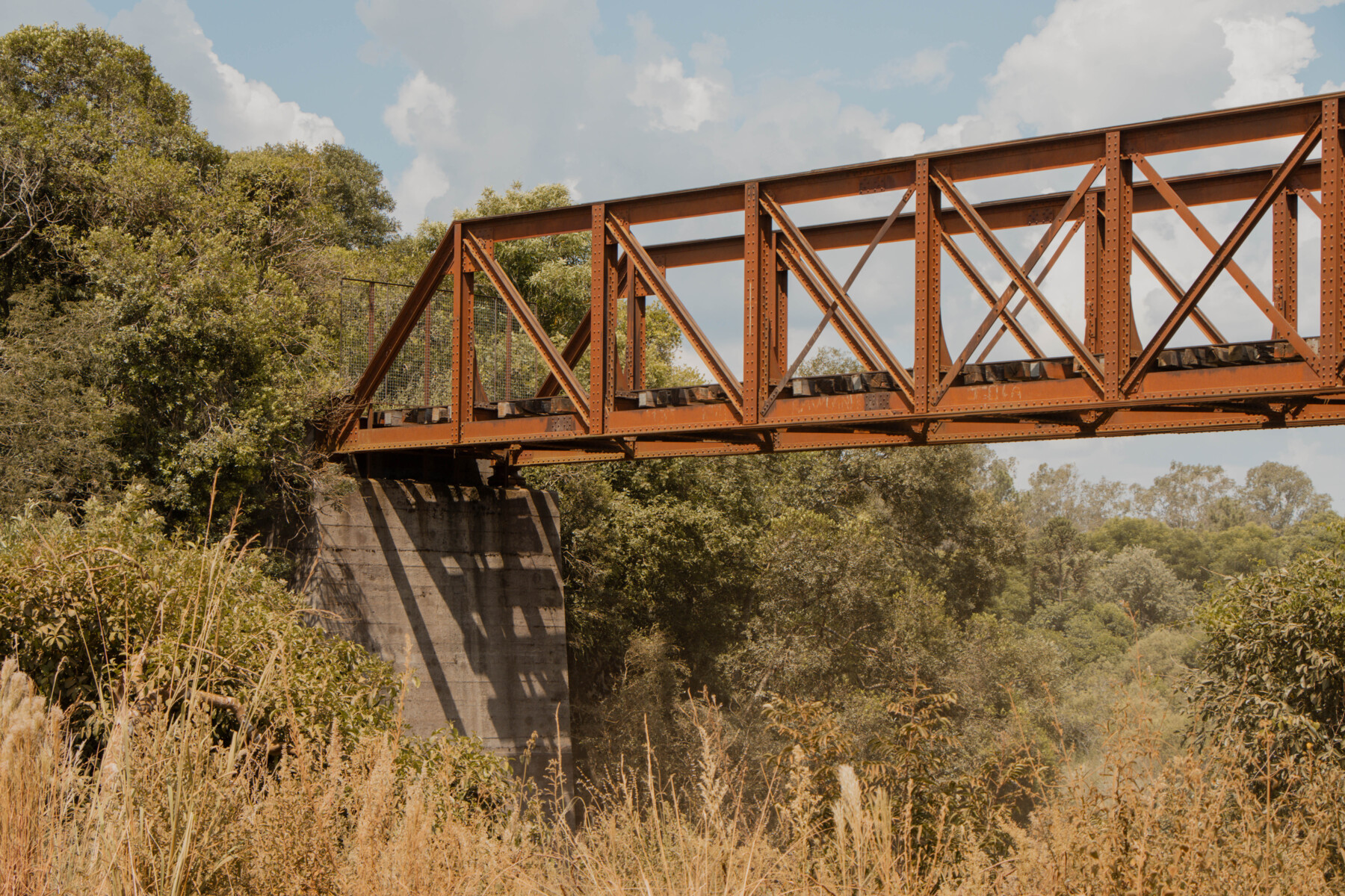 PONTE (8).jpg