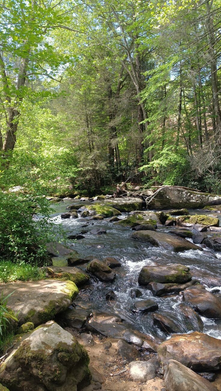 Natureza